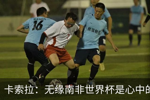 卡索拉：无缘南非世界杯是心中的刺